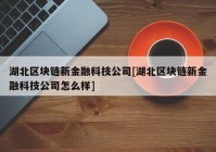 湖北区块链新金融科技公司[湖北区块链新金融科技公司怎么样]